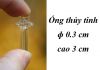 Ống thủy tinh (ɸ 0,3 cm, cao 3 cm): 10.000 đ/cái, 6 cái = 50.000 đ - anh 1