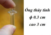 Ống thủy tinh (ɸ 0,3 cm, cao 3 cm): 10.000 đ/cái, 6 cái = 50.000 đ